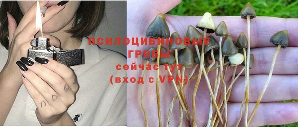бутират Абаза