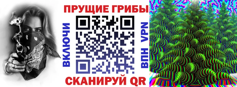 блэк спрут ссылки  Зеленодольск  Псилоцибиновые грибы мицелий 